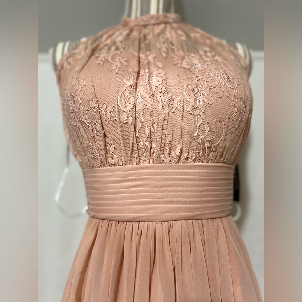 Sonsiya Blush Pink Lace Chiffon Maxi Dress Size 12 Formal Gown NWT - Picture 5 of 12